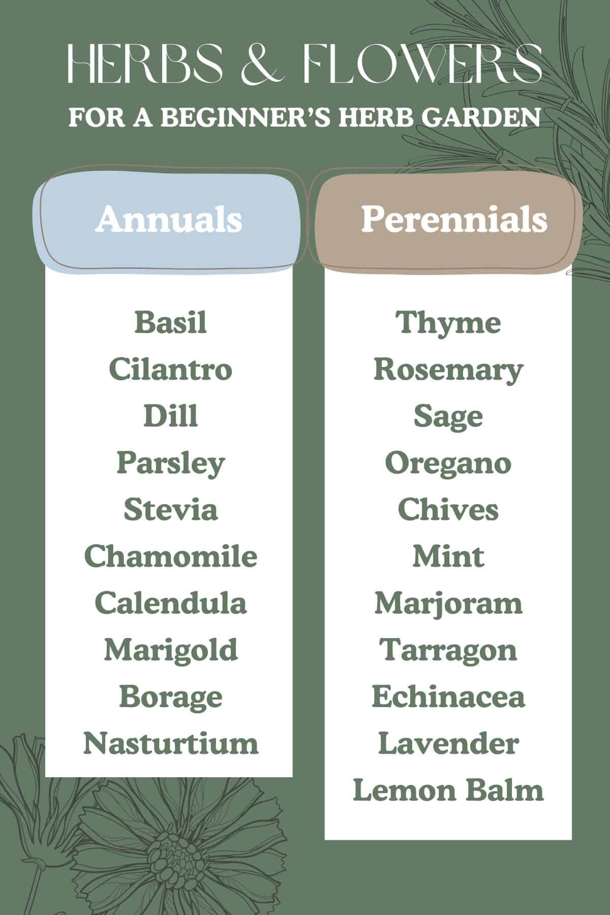 a list of annual vs perennial herbs and flowers.