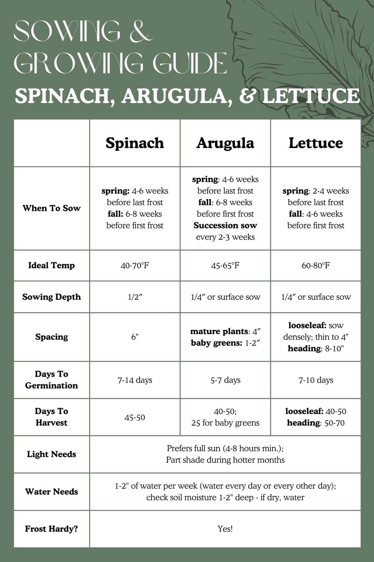 sowing and growing guide for spinach, arugula, and lettuce