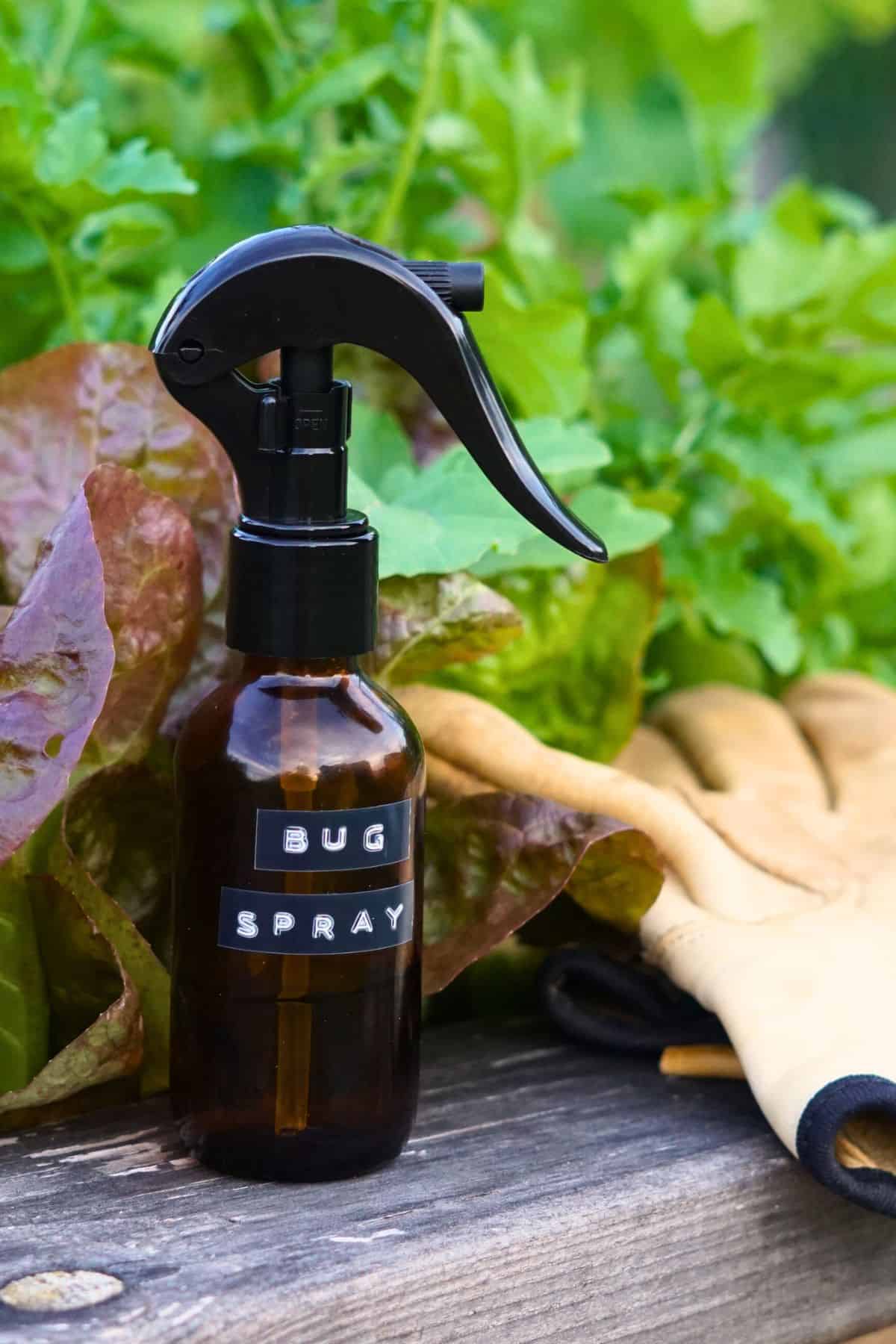 amber glass bug spray bottle on wooden ledge next to garden and gardening gloves
