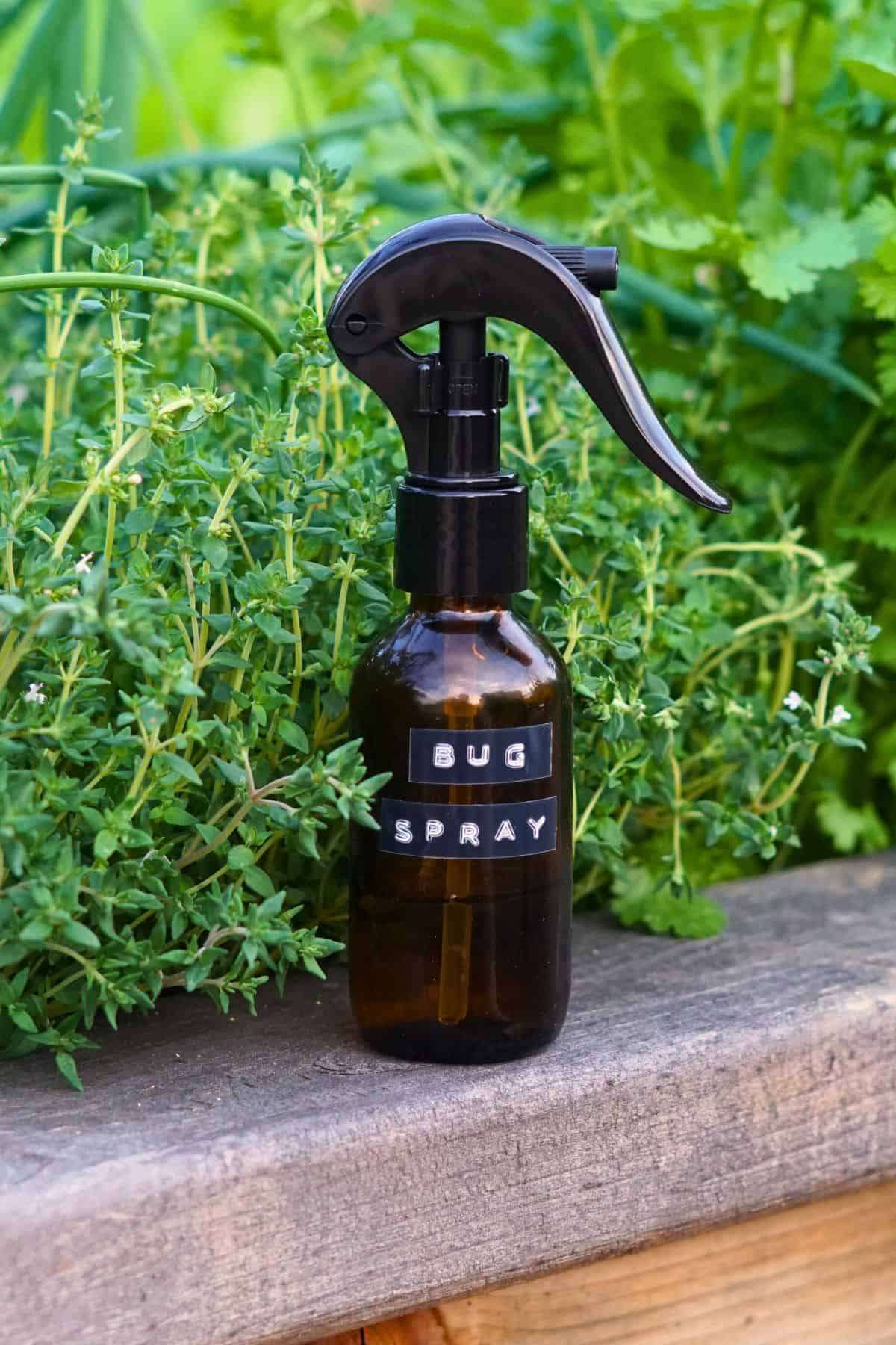 amber glass bug spray bottle resting on wooden ledge next to garden