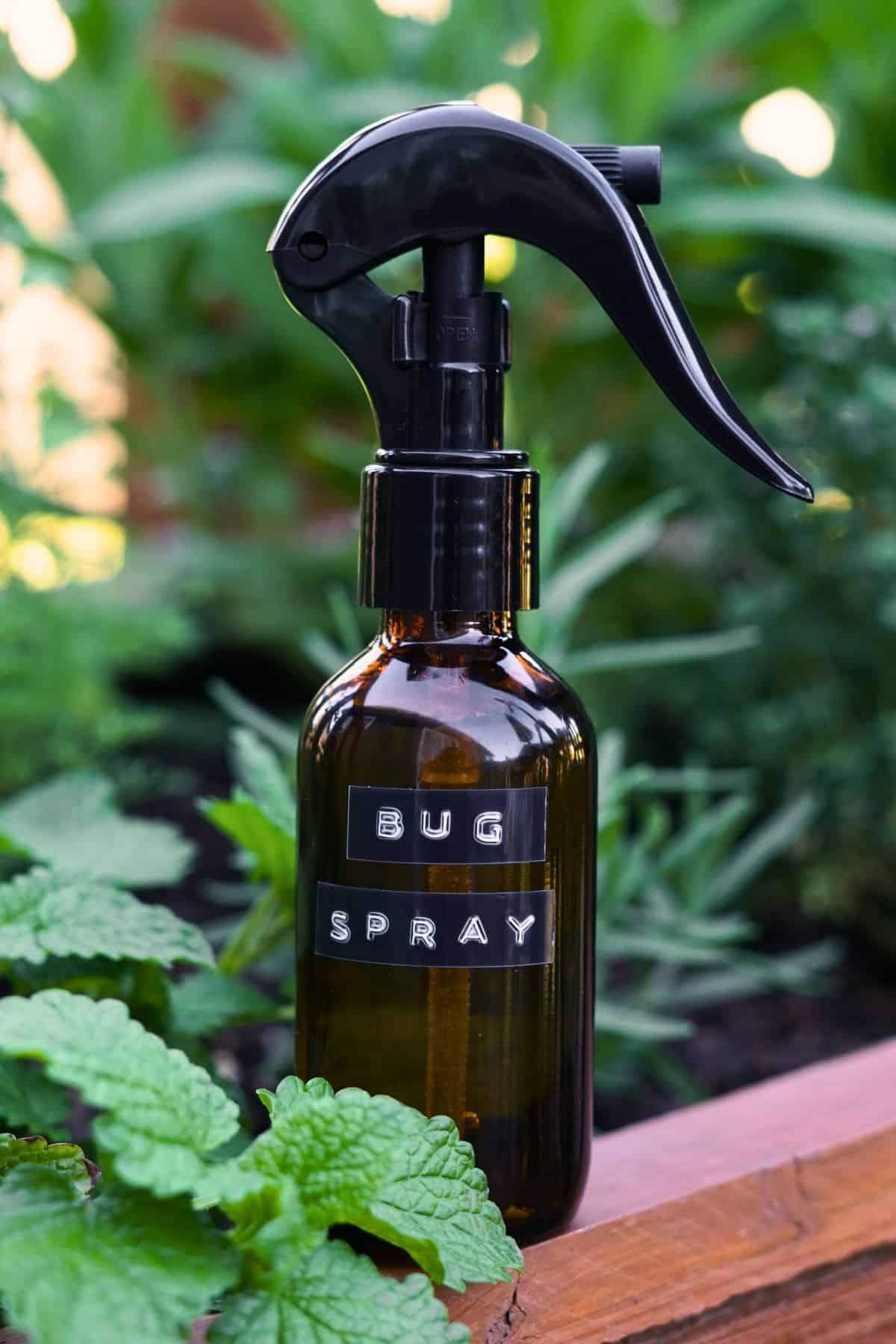 amber glass bug spray bottle resting on wooden ledge next to garden