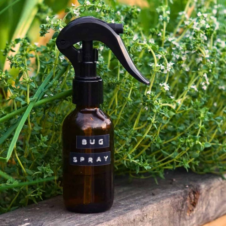 amber glass bug spray bottle resting on wooden ledge next to garden