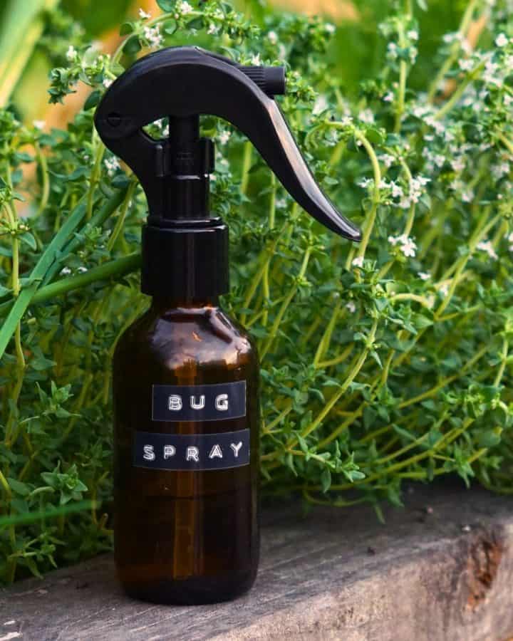 amber glass bug spray bottle resting on wooden ledge next to garden