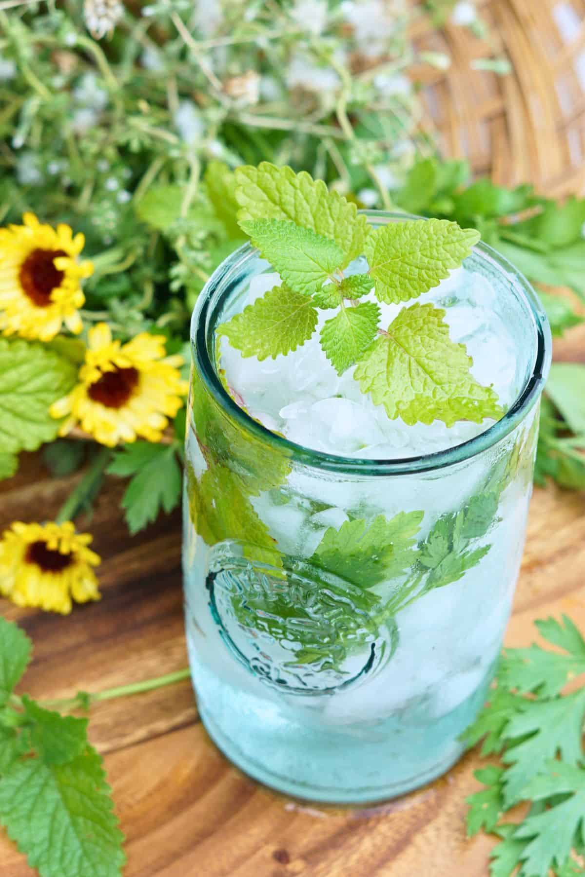 glass of ice water with parsley and lemon balm on cutting board with basket of herbs and flowers in the background